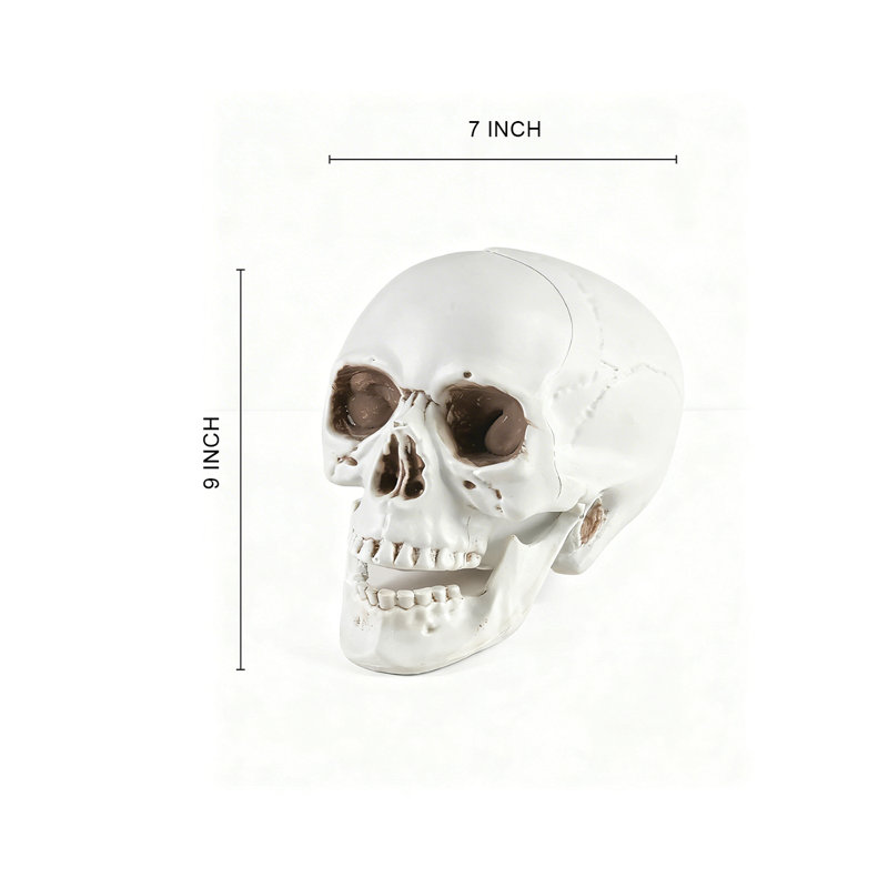  Décoration de crâne en plastique - Figurine de crâne réaliste pour Halloween, décor de maison gothique et présentation de fête à thème - plateau de table, tablette, manteau de cheminée, 7 po de largeur et 9 po de hauteur