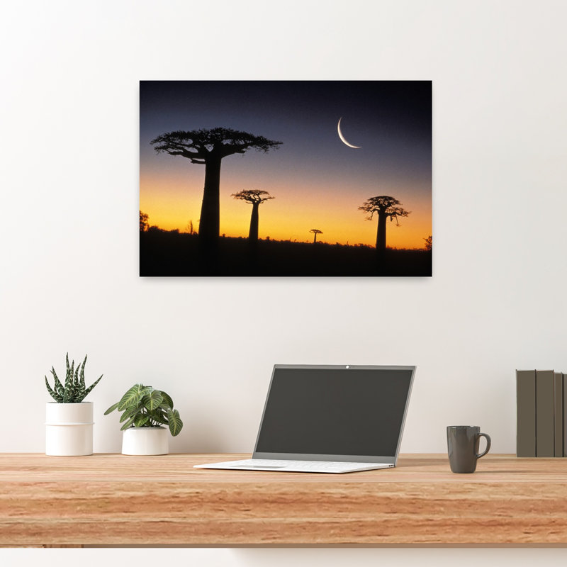 Baobab, arbres, République malgache, art contemporain abstrait du lever du soleil, H 16 po x l 24 po
