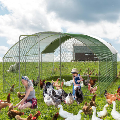 Chicken Coop