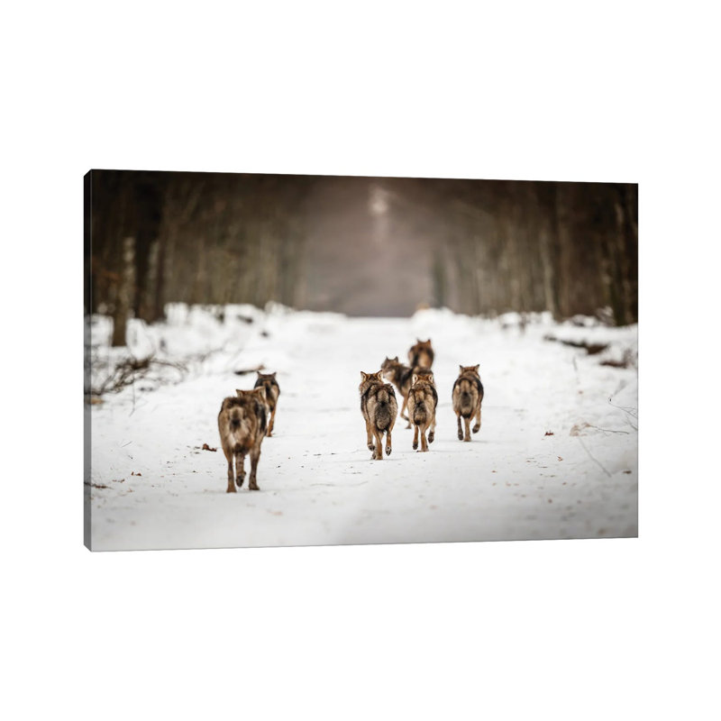 MTU119-Wolves II, H 12 po x l 18 po x 1,5 po