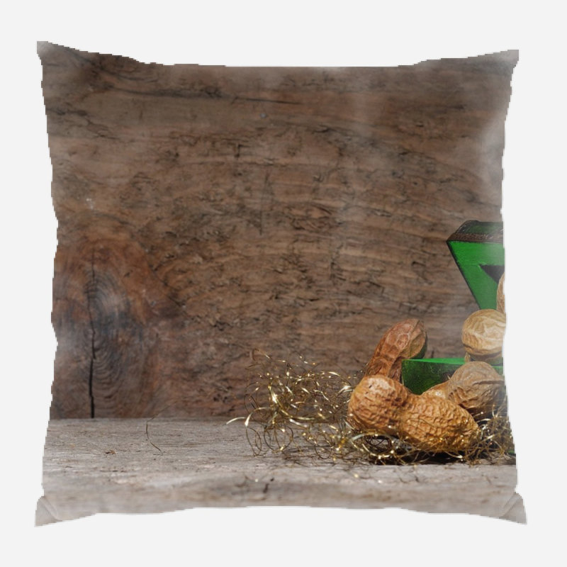 Canvas Outdoor Reversible Throw Pillow