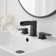 Widespread 2-handle Bathroom Faucet with Drain Assembly