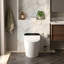 Toilette intelligente intelligente avec siège de bidet chauffant, couvercle à ouverture / fermeture automatique, séchoir à air chaud et eau chaude