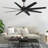 Ariella - Eight Blade Ceiling Fan-1776851489-1776851513