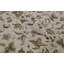 Chantel One-of-a-Kind 6'1' X 9'2" Area Rug