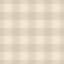Washed Gingham-1919445644-1919445680