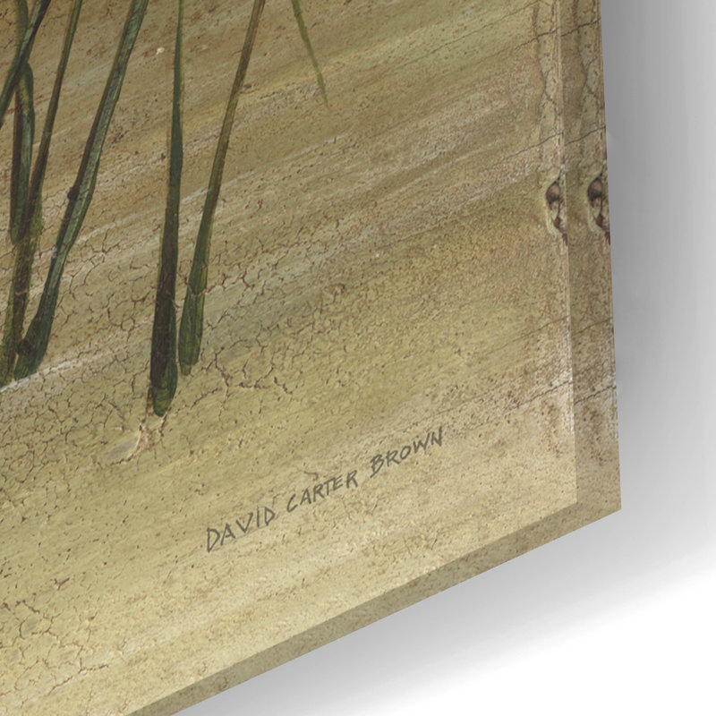 Art mural en verre acrylique August Black® «Black Duck» par David Carter, H 16 po x l 24 po x P 0,2 po