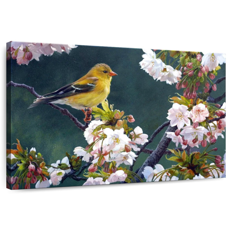 Female Goldfinch And Blossoms