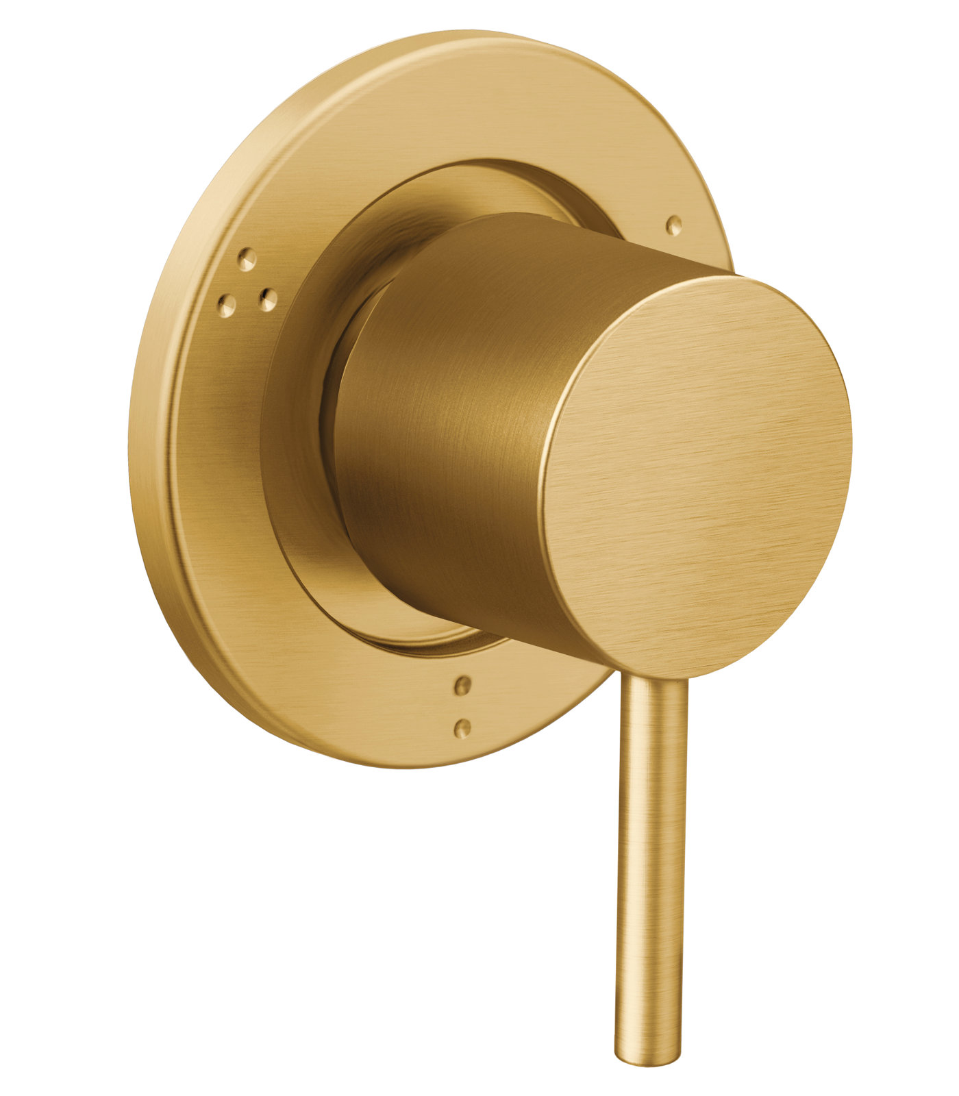 Align Transfer Valve Trim, Brushed Gold