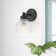 Kimberlee Armed Sconce