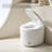 12" Rough-In Fully Automatic Siphonic Household Smart Toilet with Sensor Lid Opening, Night Light and Adjustable Temperature