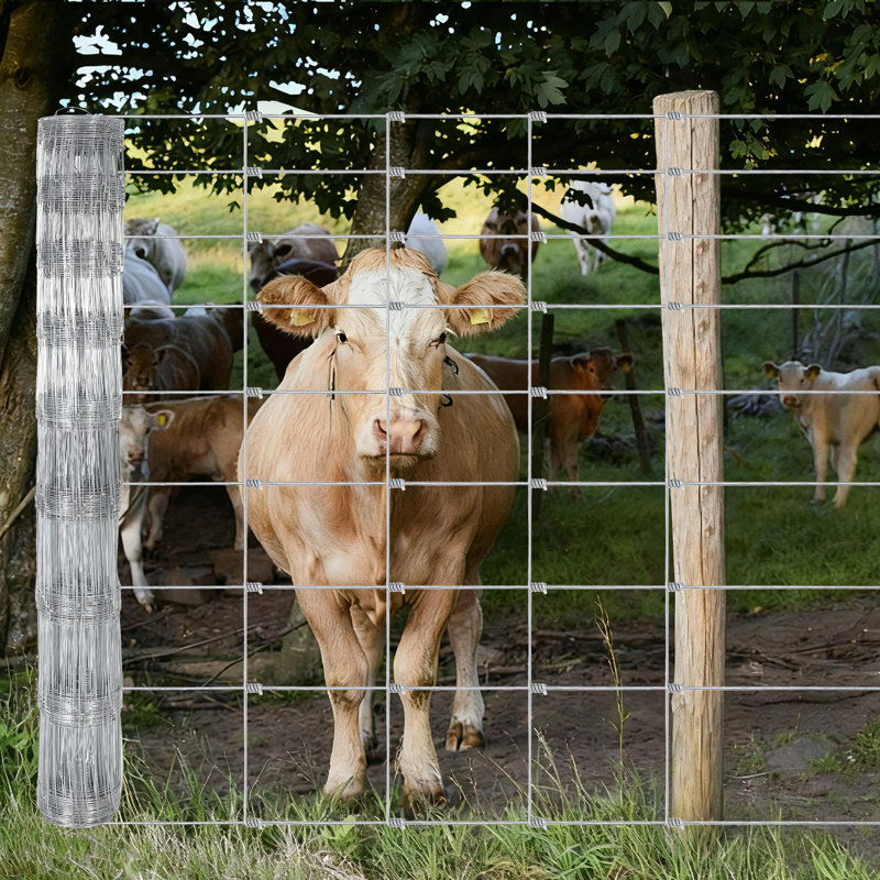 Clôture en métal galvanisé de 5 pi x 164 pi, clôture en fil de zinc de calibre 14, filet de ferme robuste pour la protection des bovins, des chèvres, des cerfs, des cours et des animaux