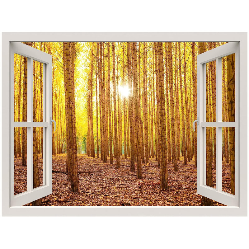 Peel & Stick Clear Border, 48" L x 36" W