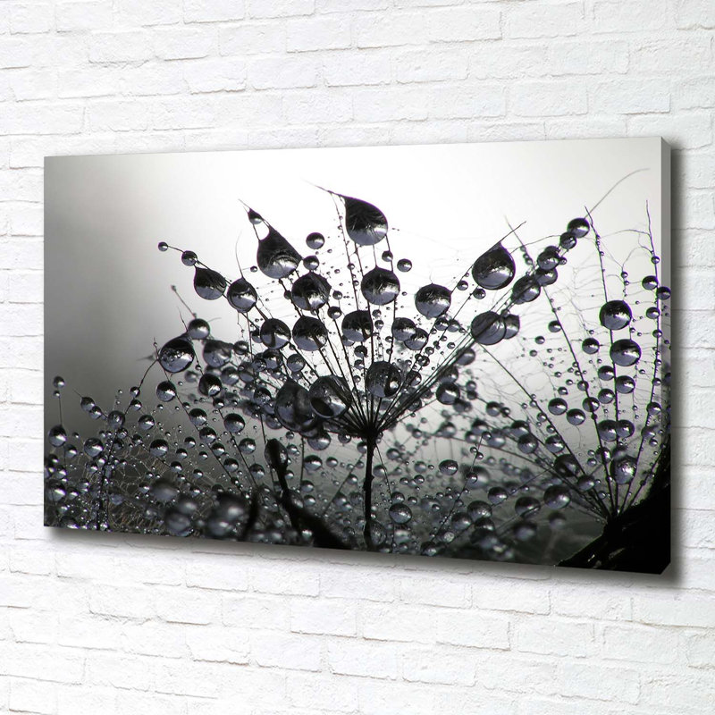 Dandelion Seeds - Wrapped Canvas Print