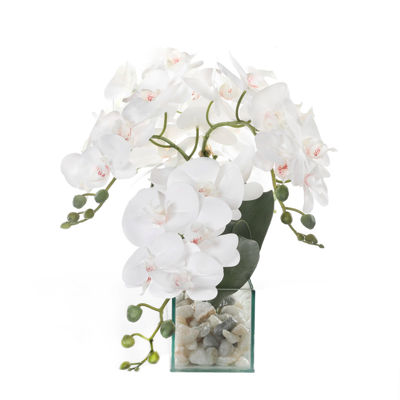 Elegant White Orchid Centerpiece in Glass Vase with Rocks
