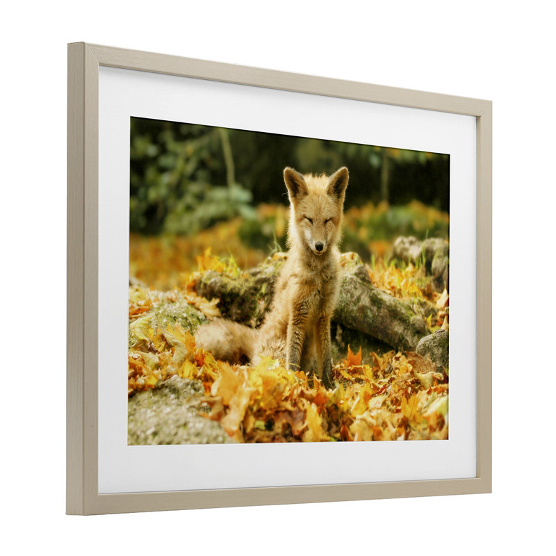 «Sleepy Fall Fox in Autumn», reproduction sous verre encadrée, design par Carrie Ann Grippo-Pike, H 14 po x l 20 po