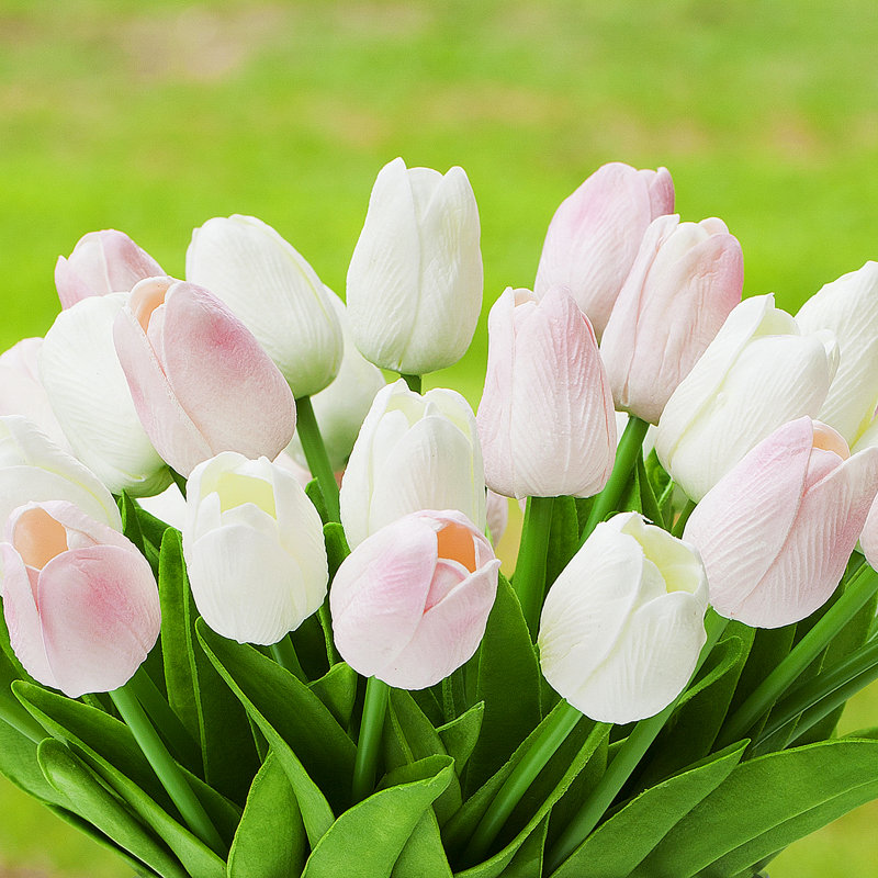 Tulip Arrangement in Vase