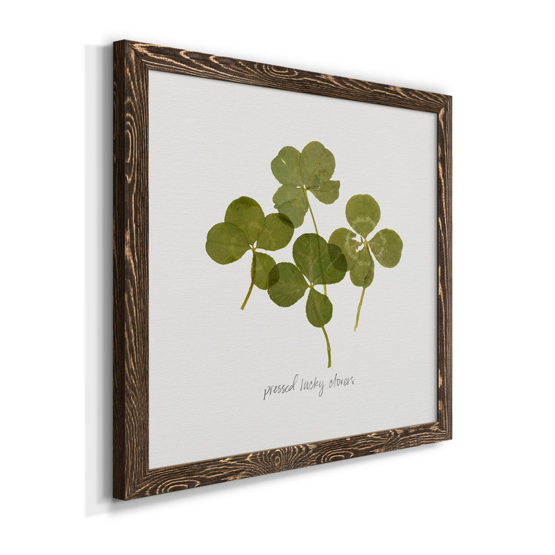 Toile encadrée Pressed Clover I-Premium - prête à être accrochée, H 17 po x l 17 po x P 1,5 po, Cadre noyer