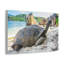 Art mural tortue majestueuse-625064173