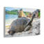 Wall Art on Canvas-1096335724