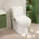 Fine Fixtures One Piece Toilets for Bathroom, 1.6 GPF Dual Flush, Soft Close Seat Cover, 12" Rough-In