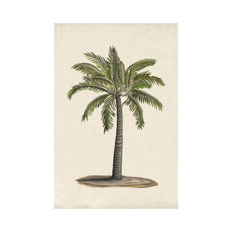 British Palms I by Naomi McCavitt - Wrapped Canvas Print, 20.32 cm H x 30.48 cm W