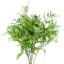 Aneris 85cm Plant