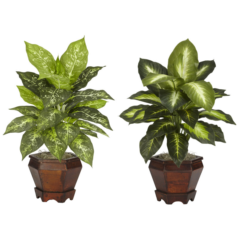 20.5'' Faux Foliage Plant in Wood Pot