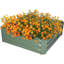 Lit de jardin surélevé en métal Sacia-70485700-70485754