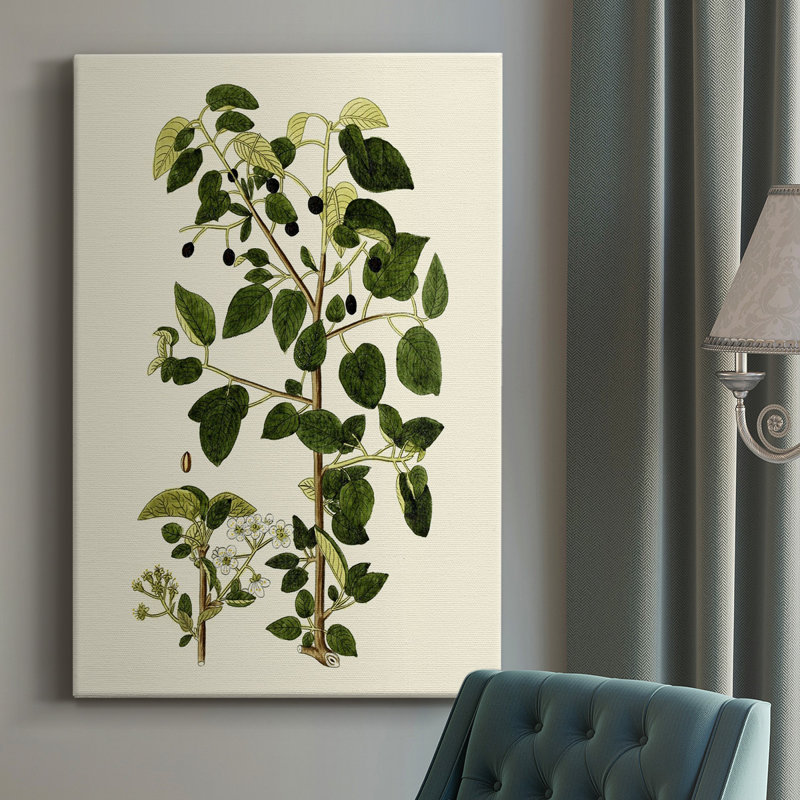 Olive Greenery V - peinture sur toile tendue, H 18 po x l 12 po x P 1,5 po