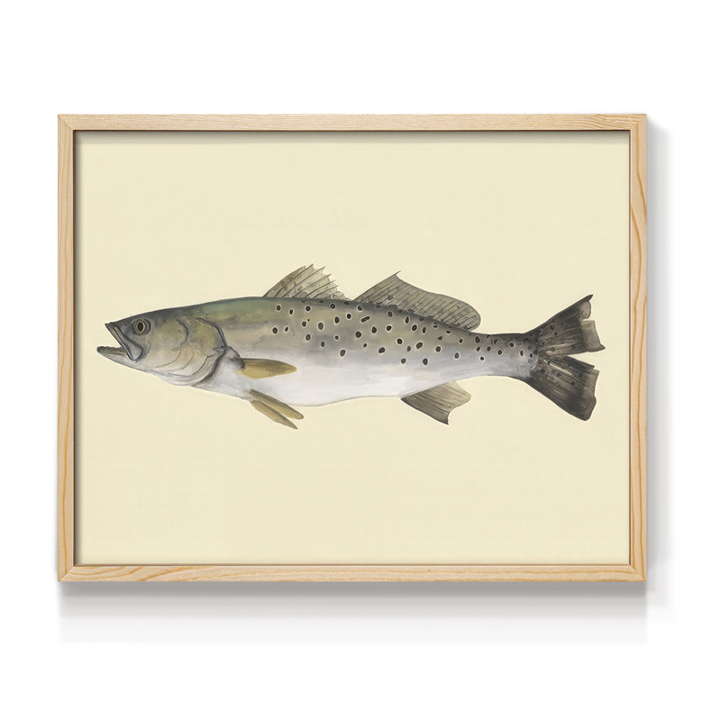 «Saltwater Species II», reproduction encadrée, Naturel, H 11 po x l 14 po