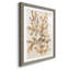 Parchment Coral I - ensemble de 3 reproductions de cadres photo-207375876-207375887