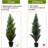 Shirlene Faux Cedar Tree Topiary in Pot-290192286