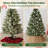 Rattan Tree Collar-137651707