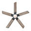 Prochoros Ceiling Fan with LED Lights