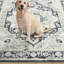 Tapis oriental lavable à la machine Amaresh-1319481434
