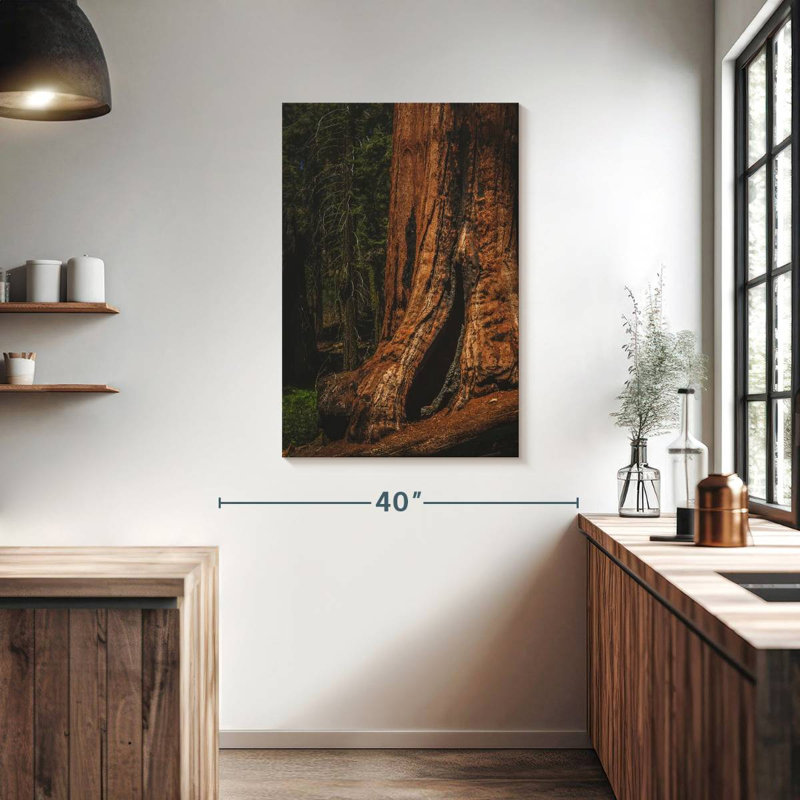 Harnek Sherman Trail Sequoia Trees, 39" H x 26" W
