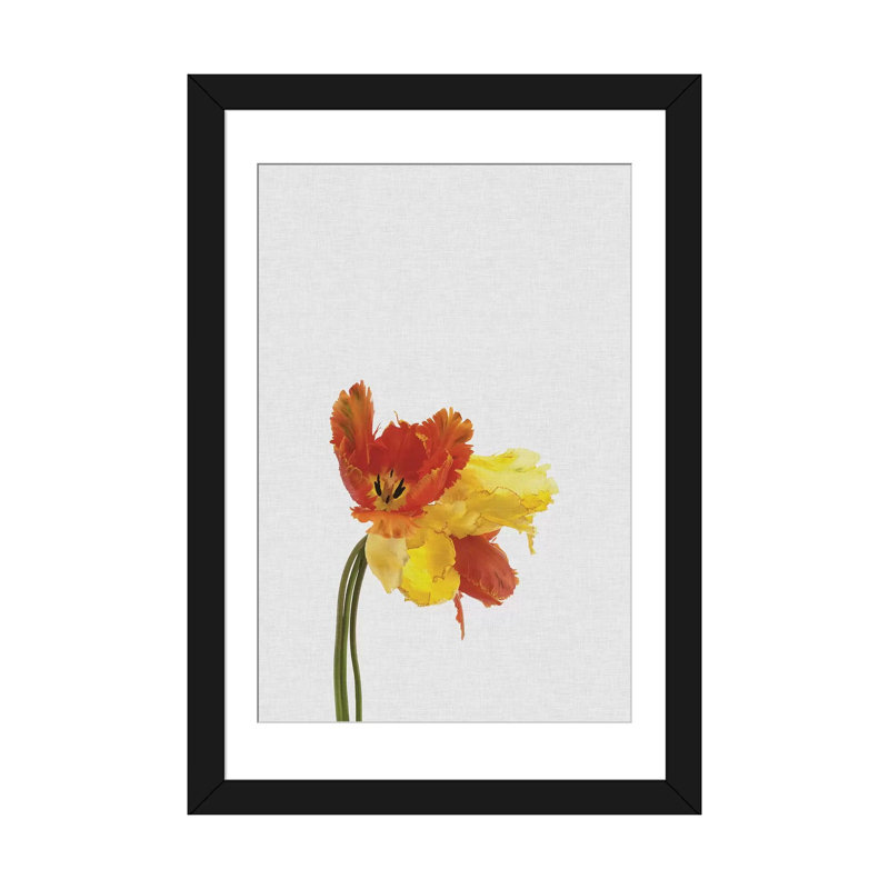 « tulipe », impression sur toile, Papier d'art encadré noir, Blanc, H 24 po x l 16 po x P 1 po