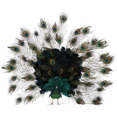 Elegant Peacock - 41 X 7 Inches