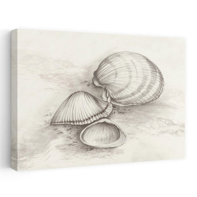 Seashells reposant sur le sable, art mural contemporain abstrait