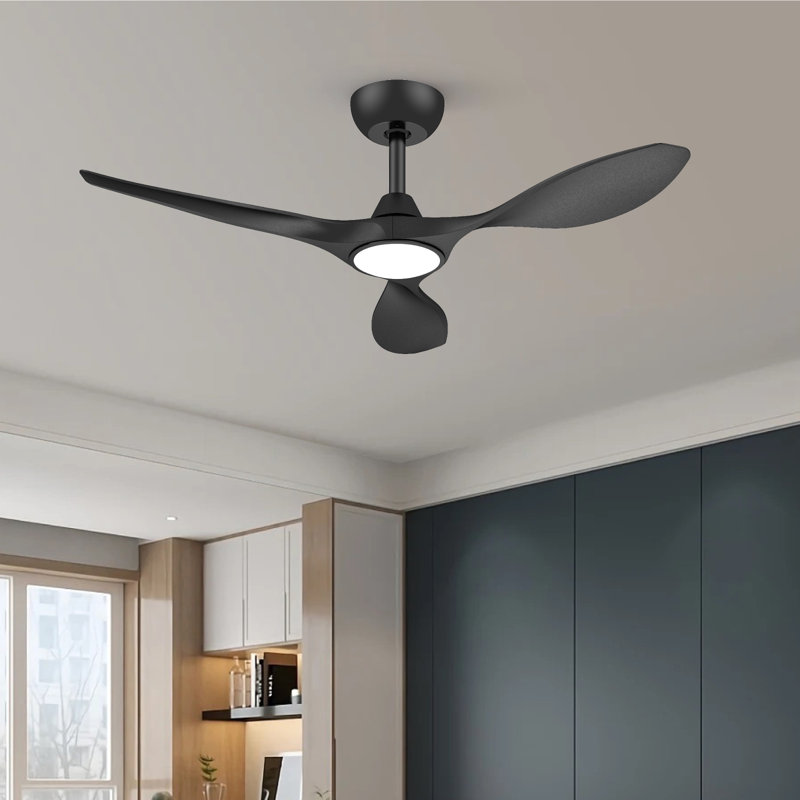 2 ventilateurs de plafond de 42 pouces avec lumières et télécommande noir, Noir, Black