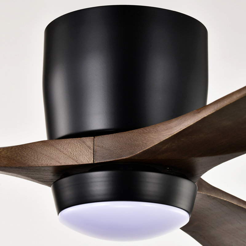 Ventilateur de plafond 52 po avec lumières, Noir mat, Marron foncé