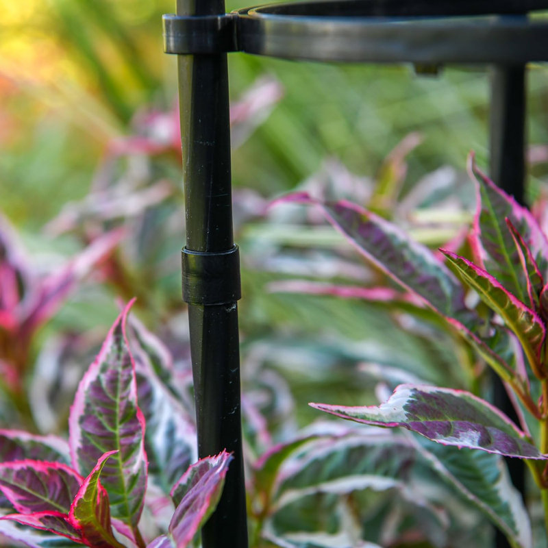 Metal Garden Obelisk Plant Supports Set of 2 Climbing Plant Frames 1.2m & 1.6m Tall – One of Each Size