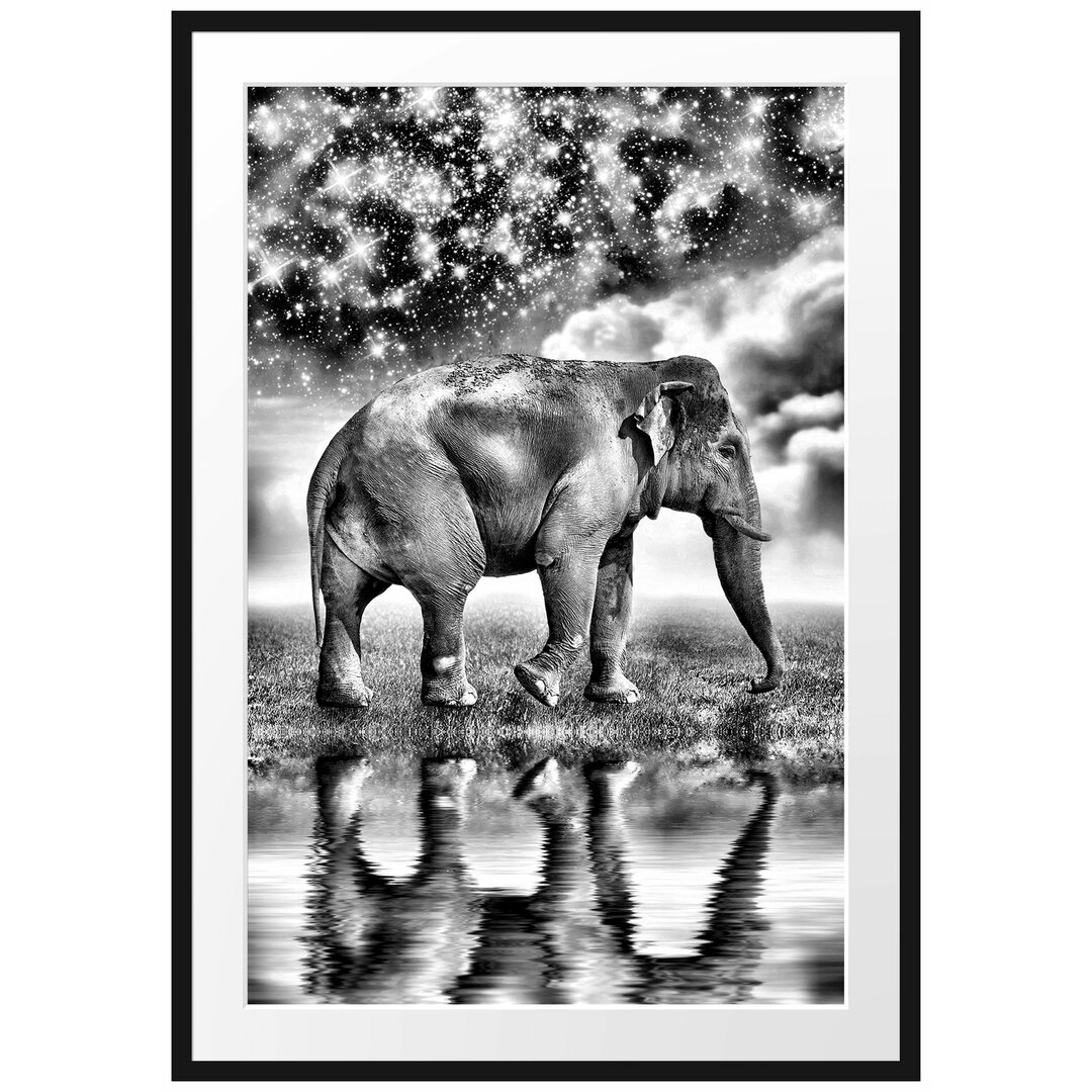 Gerahmtes Poster Elefant mit Sternenhimmel