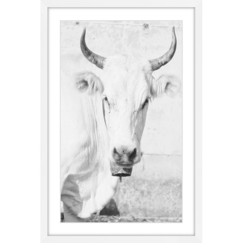 Handmade Black and White Cow Face Framed Canvas Print