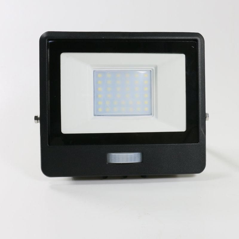 Amie-Leigh Flood Light