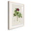 «Pretty Botanicals III», cadre photo-1776683591-1776683595