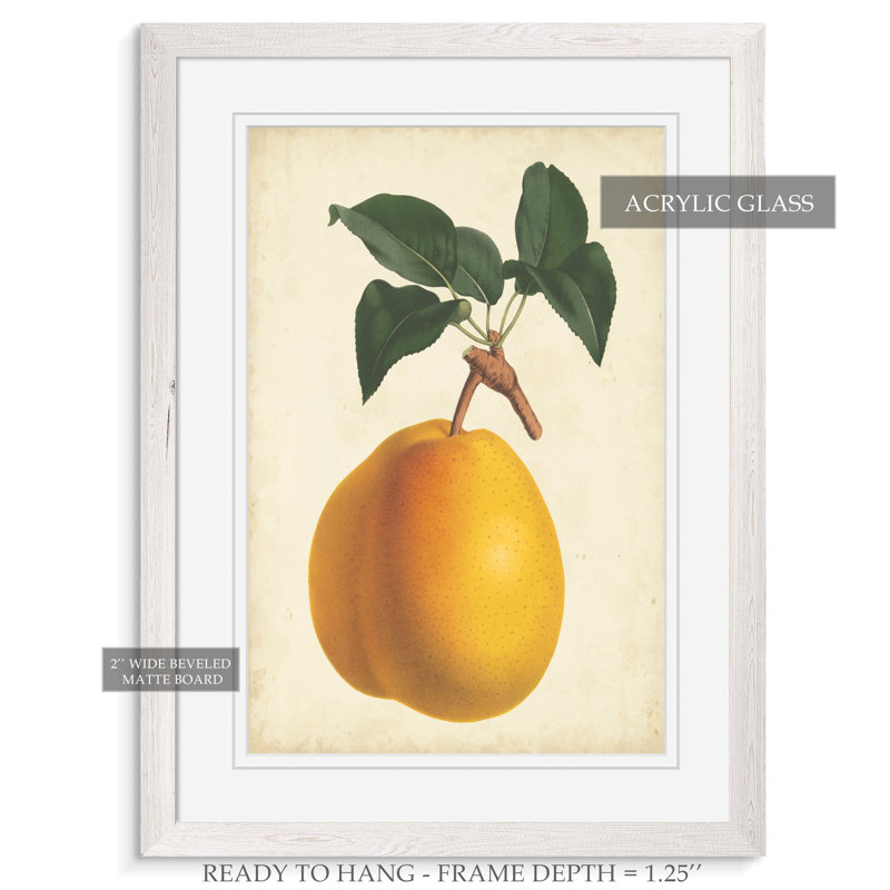 « antique poirier botanique ii » par paul cezanne-cadre photo, reproduction d’art, H 22 po x l 30 po x P 1 po