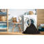 Tapis 100% moderne de style Mid-Century lavable à la machine 337-649859313