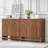 2-Door Accent Cabinet (31.5" W)-1742725958